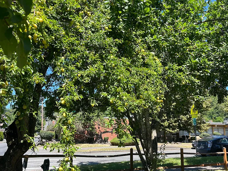 330 32nd Ave E — Photo 16