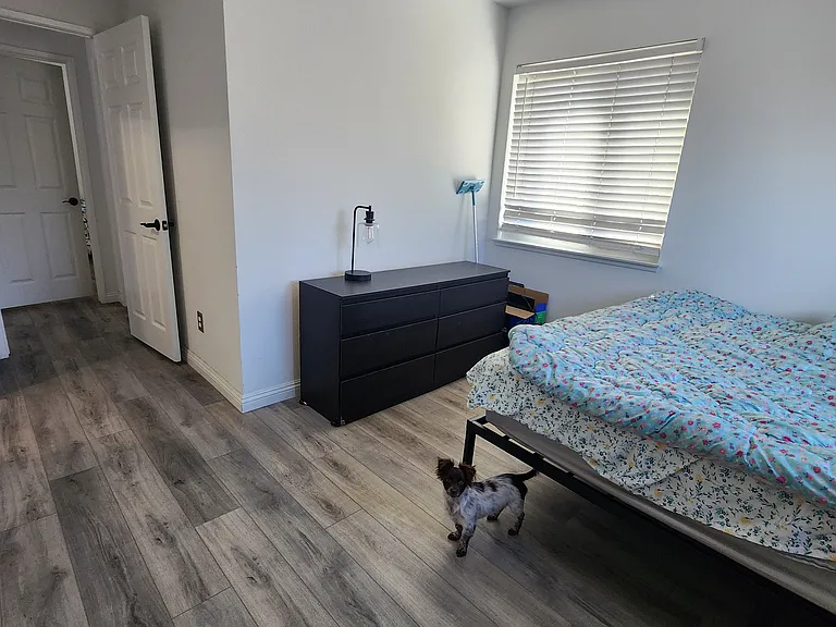 1374 Kirkmichael Cir — Photo 13