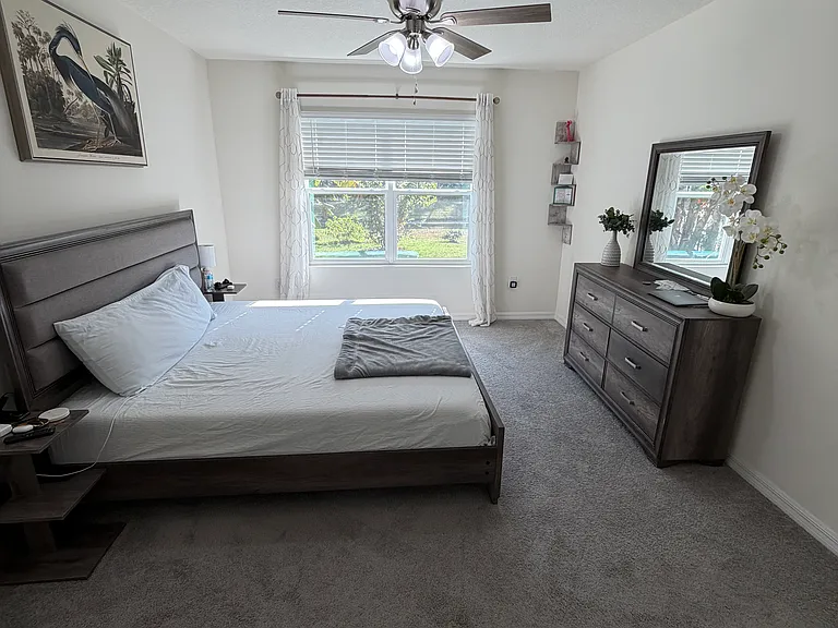 33370 Apricot Tree Ct — Photo 16