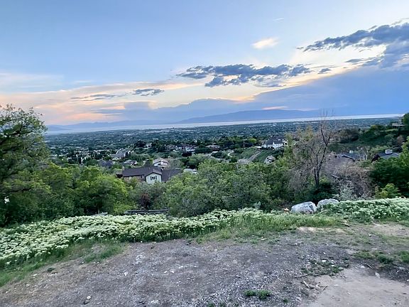 3rd image of 4537 Mile High Dr
