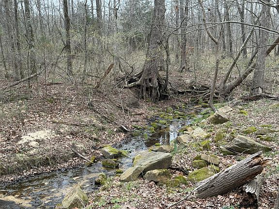 2nd image of 319 N Girtman Rd