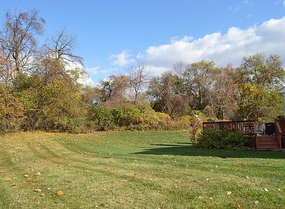 Lush expanse of adjacent open space