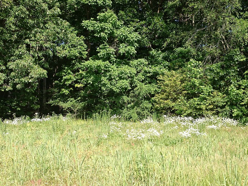 2nd image of 1023 Kiser Rd