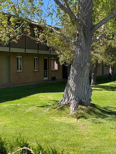 Pine Meadows Photo 1