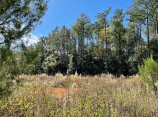 0 262nd Ter, Branford, FL 32008