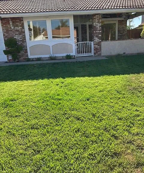 Front Yard