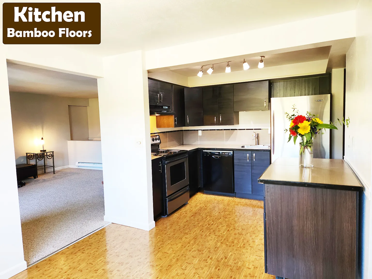 2 bed, 1100 sqft, $2,300 — Photo 1