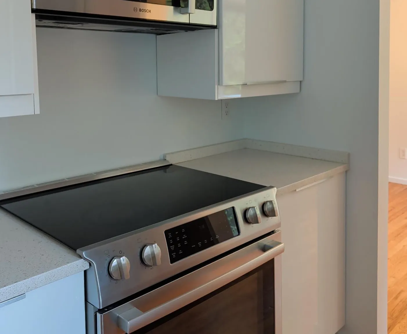 3 bed, 978 sqft, $2,900 — Photo 4