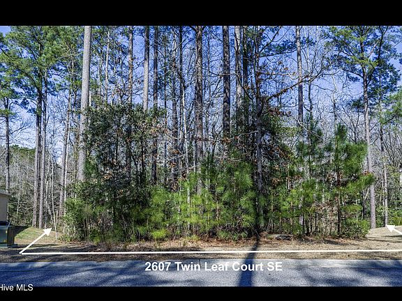 2nd image of 2607 Twin Leaf Court SE LOT 87
