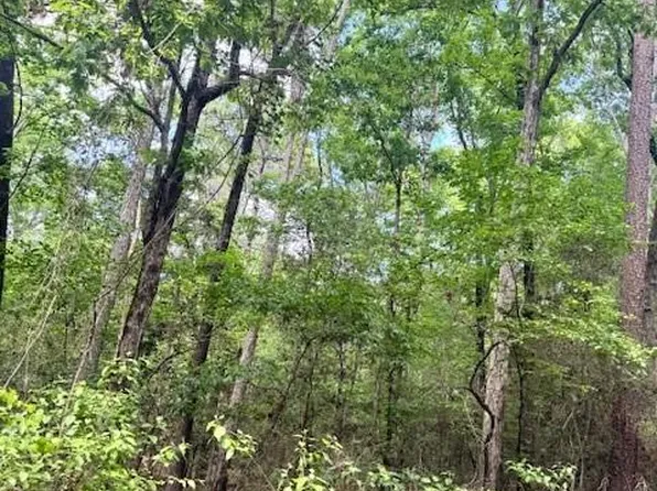 4 County Road 497, Etoile, TX 75944