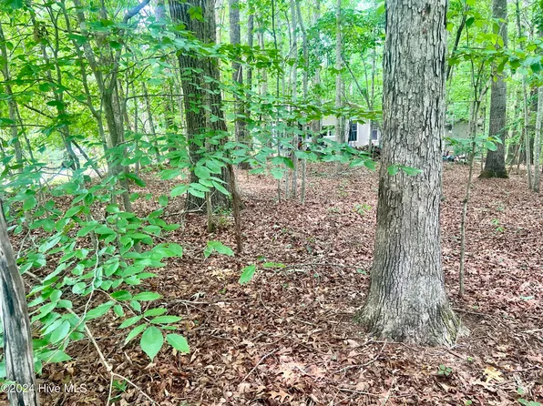 117 Tishomingo Drive, Louisburg, NC 27549