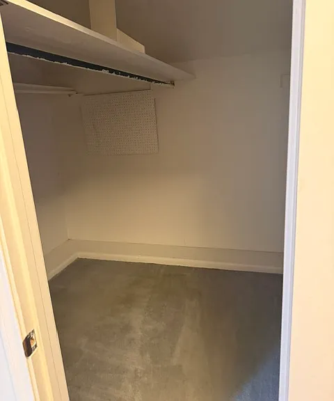 1115 Ivy Ln — Photo 13