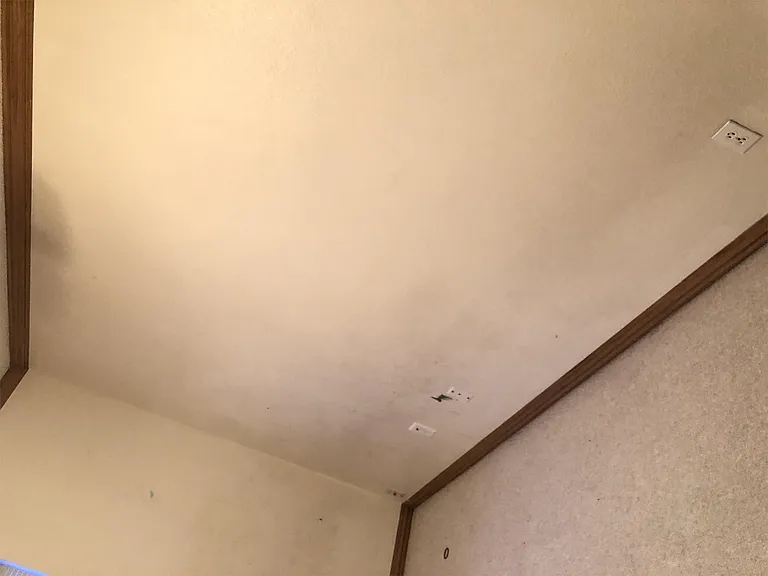 111 Fox Run Pl #B — Photo 143