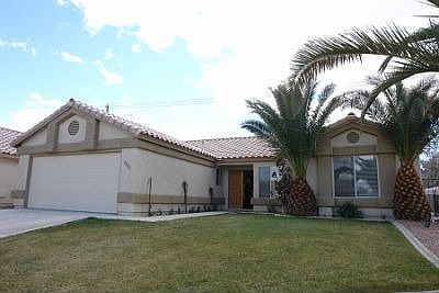 Mature Palm Trees