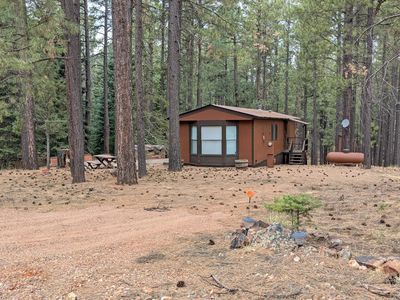 2117 Joe Springs Dr #501, Forest Lakes, AZ, 85931