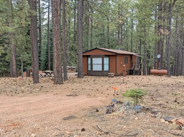 2117 JOE SPRINGS Drive #501, Forest Lakes, AZ 85931