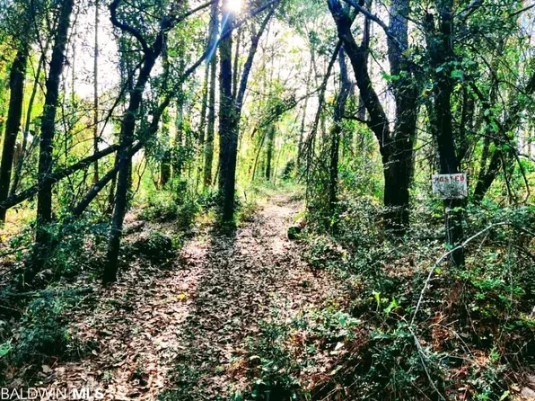 0 Albert Hollon Ln #16PT, Lillian, AL 36549