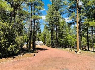 785 Caballo Cir, Happy Jack, AZ 86024