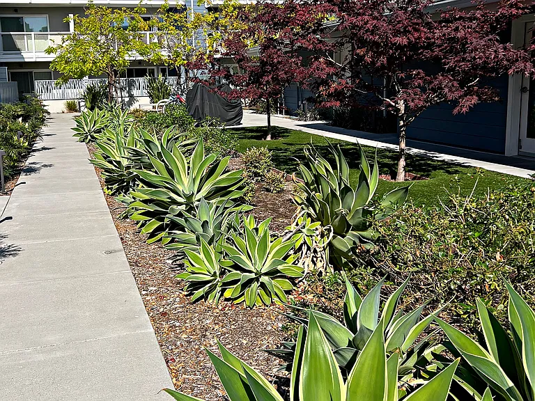 Courtyard