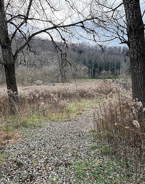 2nd image of 1561 Jollytown Rd