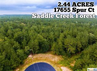 17655 Spur Ct, Waller, TX 77484