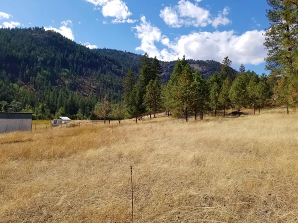 Rock Face Dr Lot 29, Curlew, WA 99118