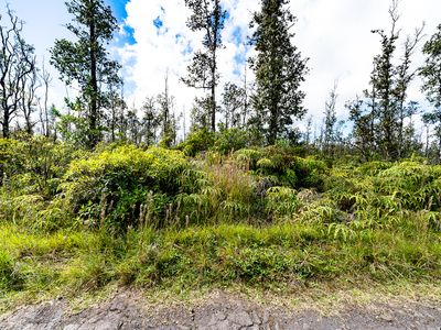27 38th Ave, Kurtistown, HI, 96760
