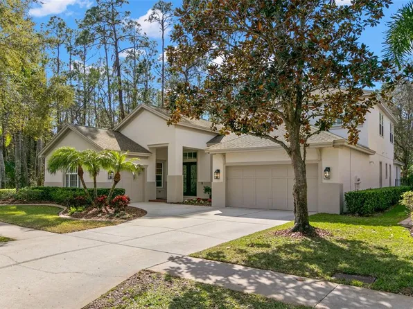 14841 Tudor Chase Dr, Tampa, FL 33626