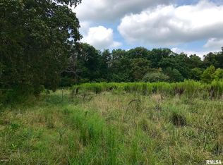 6633 N Log Cabin Ln, Opdyke, IL 62872