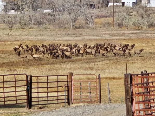 37366 Bone Mesa Rd, Paonia, CO 81428