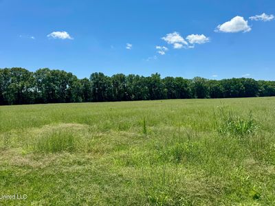 1 Johnson Line Rd, Bolton, MS, 39041