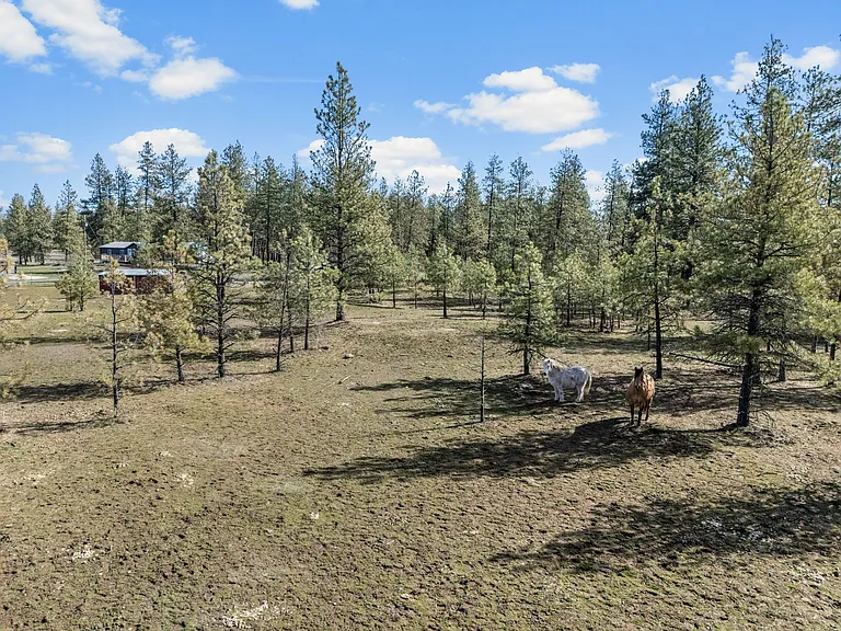 24315 S Columbia Basin Hwy — Photo 49