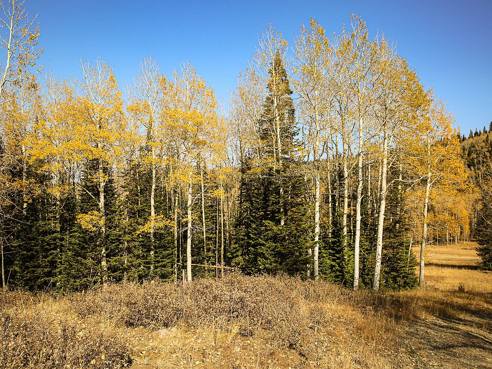 1st image of 320 White Pine Canyon Rd Lot 320