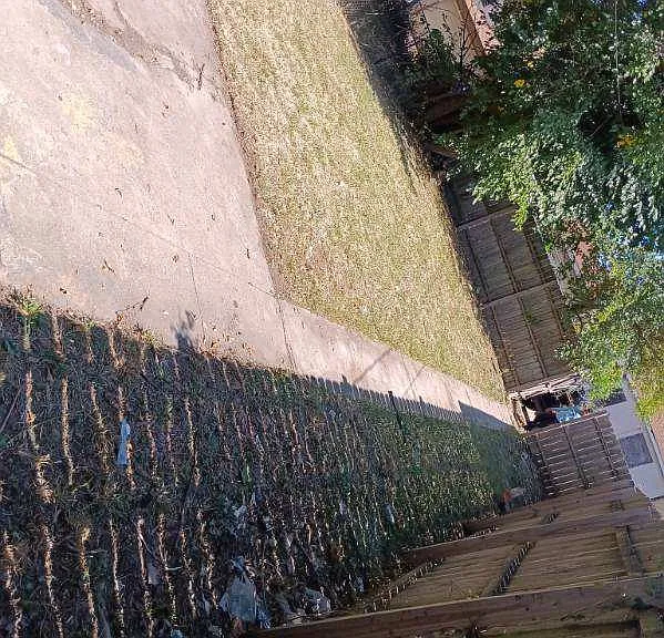 S Blackstone Ave — Photo 4
