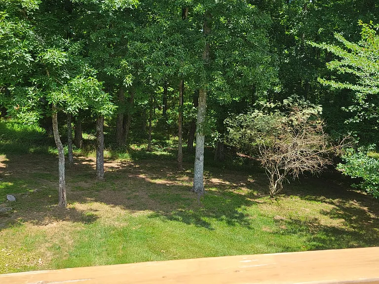 456 Snead Dr — Photo 46