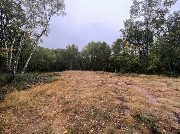 18164 Elm Trl, Nevis, MN 56467