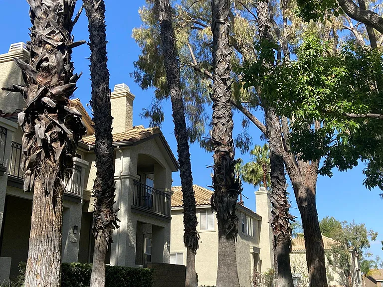 15058 Ocaso Ave — Photo 14
