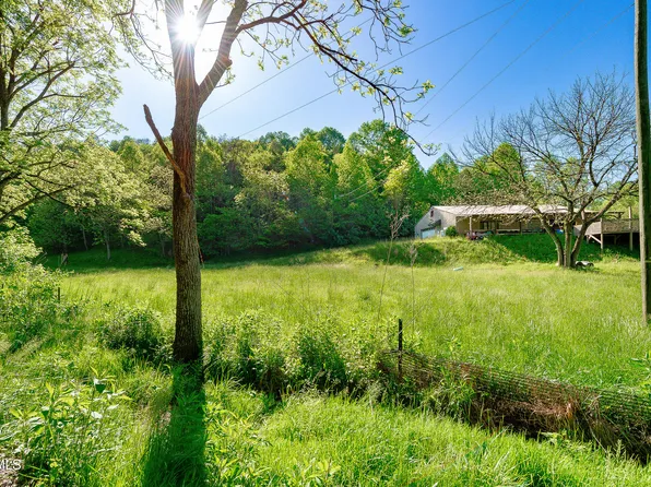 1668 Fowlers Branch Rd, Hiltons, VA 24258