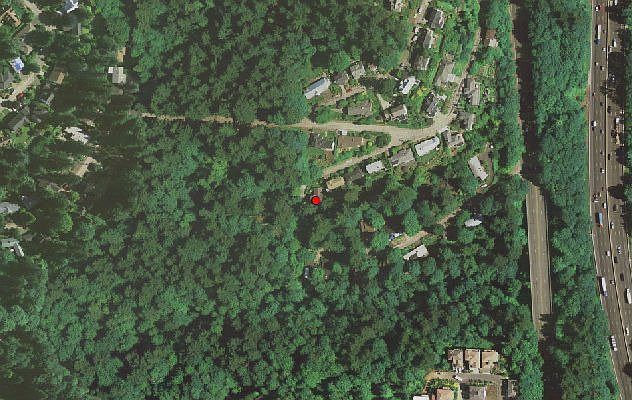 In the woods...in the city....