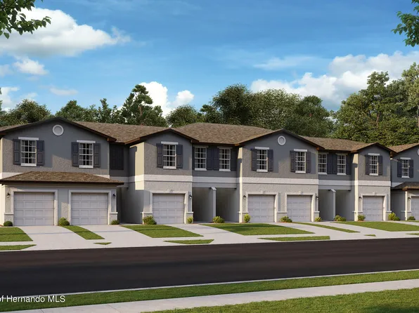 17646 Nectar Flume Dr, Land O Lakes, FL 34638