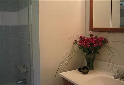 9658 Live Oak Ave — Photo 11