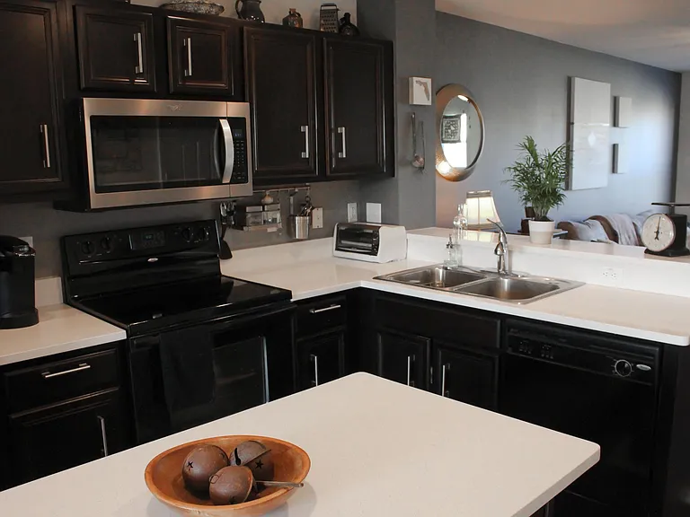 quartz countertops, garbage disposal, dishwasher, microwave