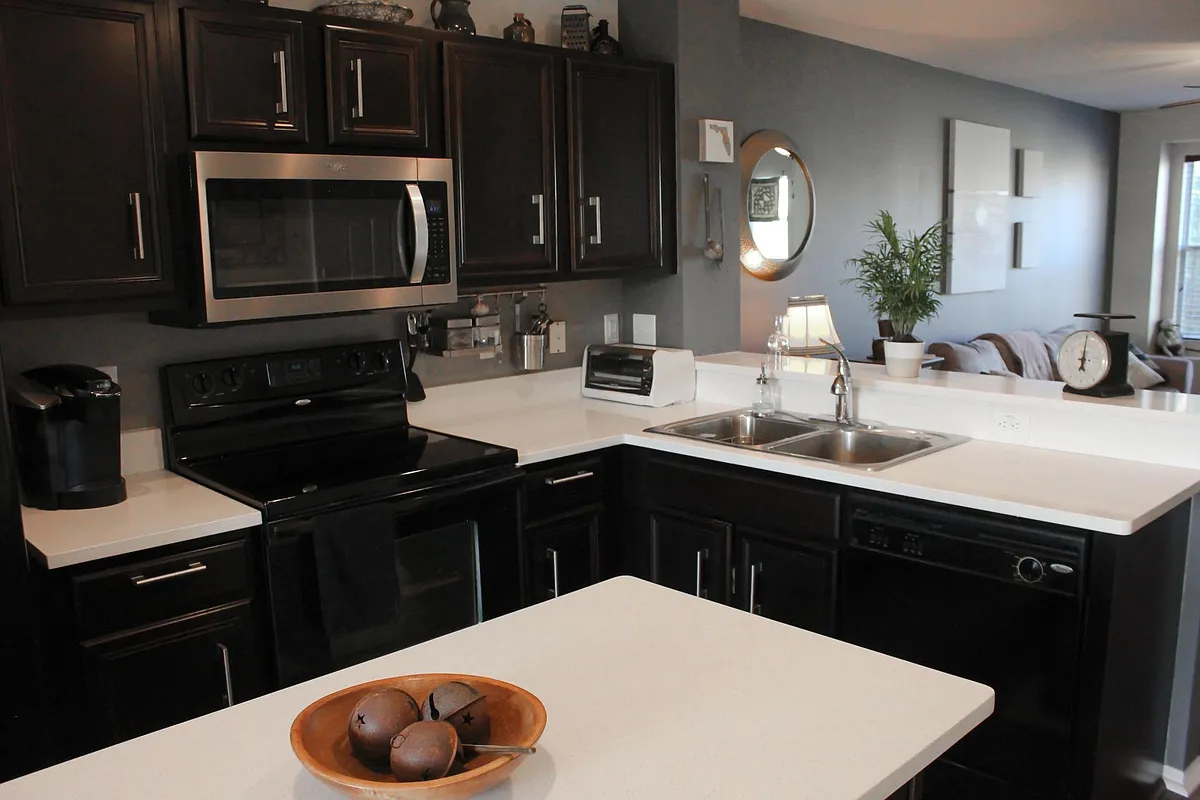 quartz countertops, garbage disposal, dishwasher, microwave - 4822 Tuscan Loon Dr