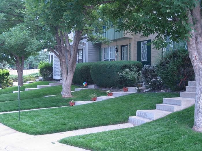 Professionally Landscaped