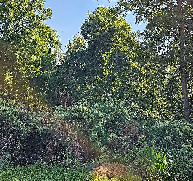 2nd image of 0 Zimmerman St