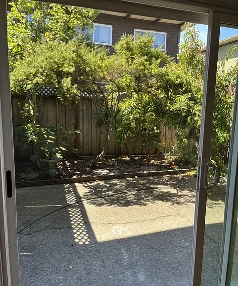 19 Pixley Ave #18 — Photo 5