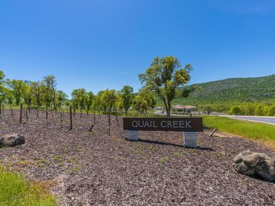 224 Quail Creek Ter, Copperopolis, CA, 95228