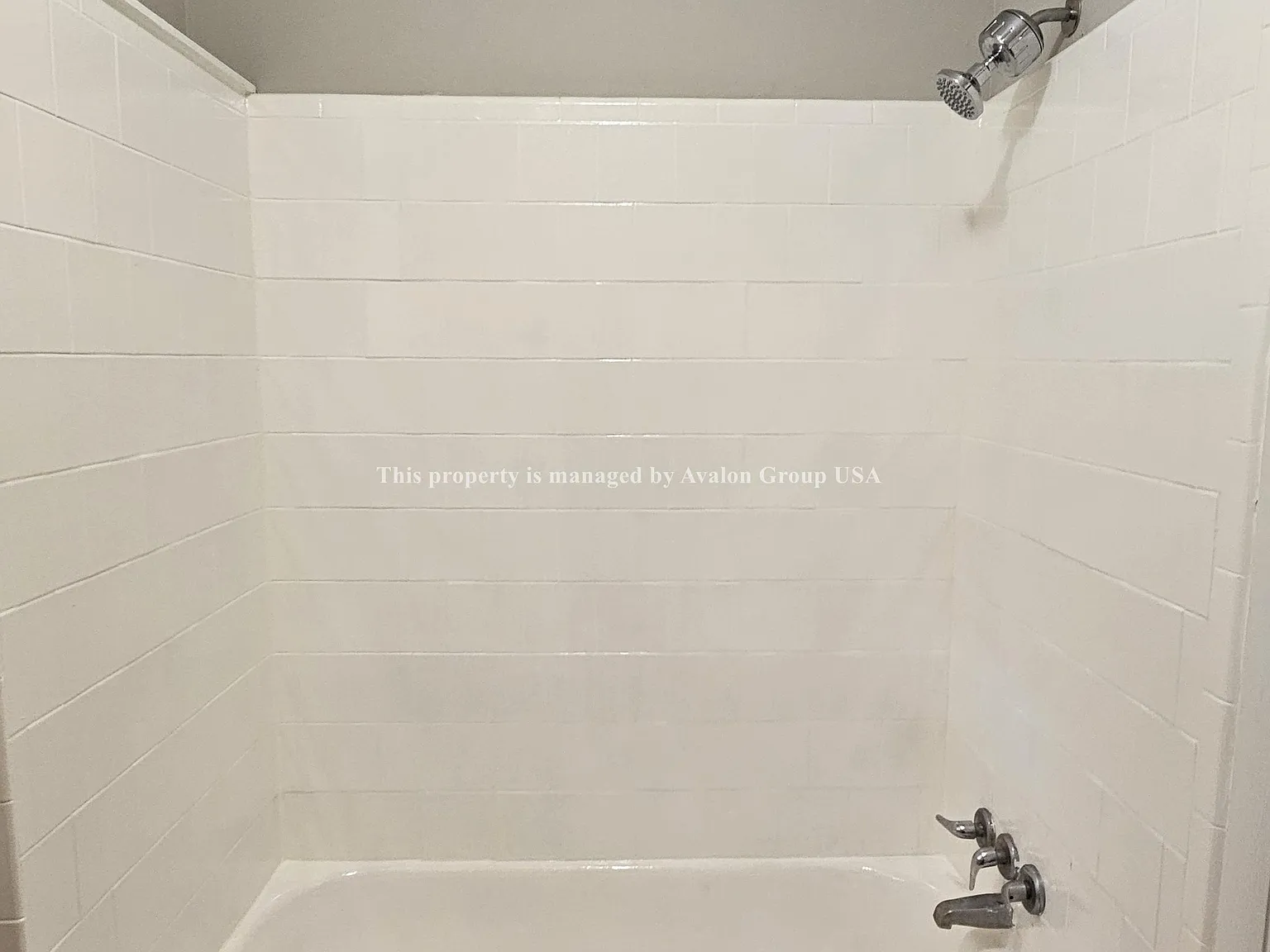 1 bed, 600 sqft, $925 — Photo 2