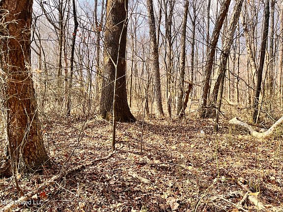 3rd image of 0 Moore Rd