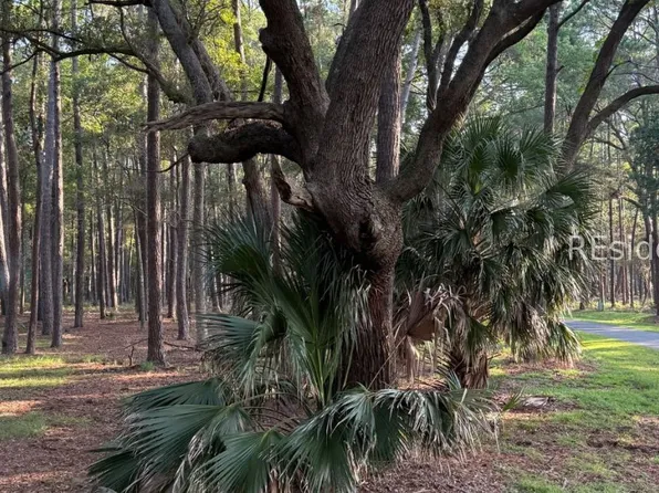 87 Martinangel Ln, Daufuskie Island, SC 29915